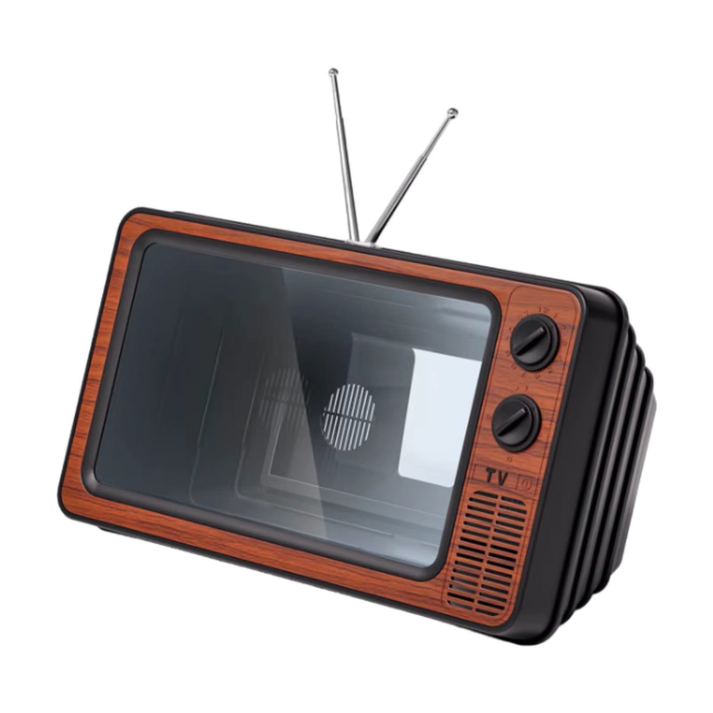 Old School Magnifier TV